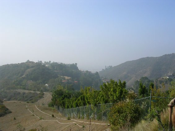 dscn3338.jpg