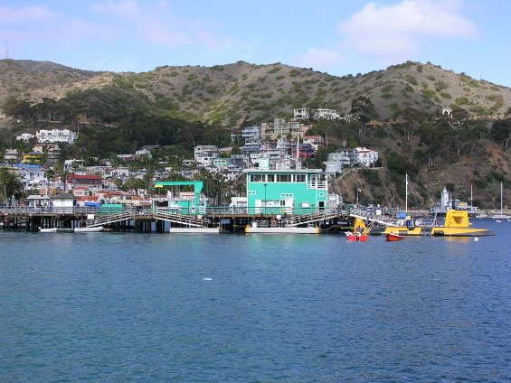 dscn3550.jpg