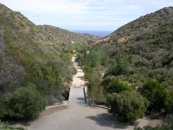 dscn3575.jpg