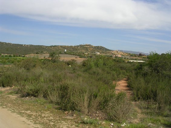 dscn3614.jpg