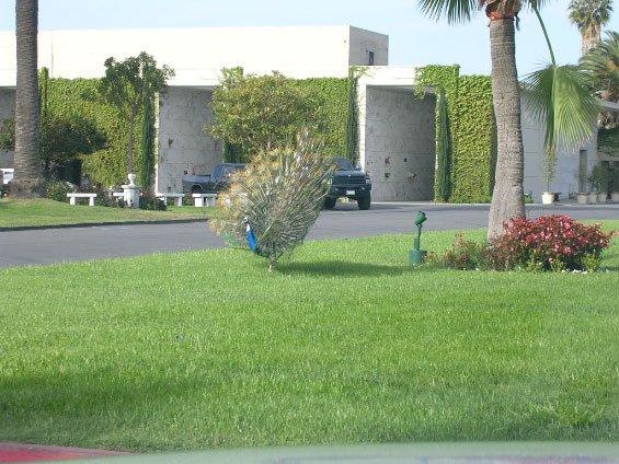 dscn3650.jpg