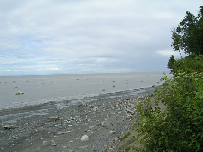 DSCN1994