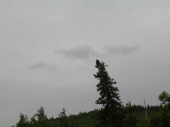 DSCN2025