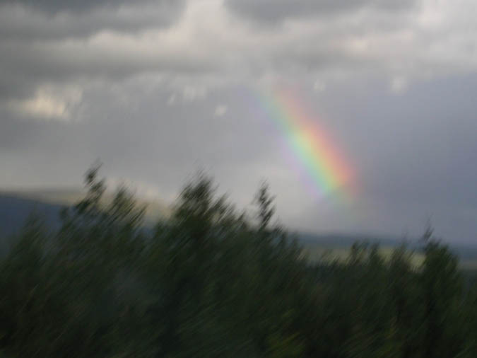 DSCN2400