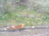 DSCN2415