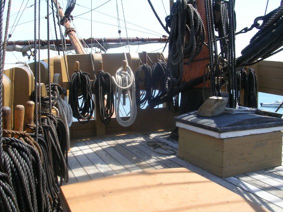dscn3837.jpg