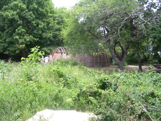 dscn3843.jpg