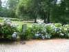 dscn3916_small.jpg