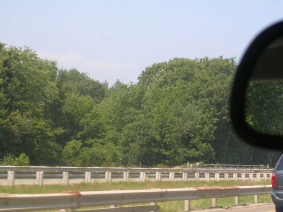 dscn3944.jpg