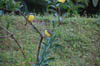 DSC_0152 (2)
