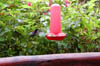 DSC_0229 (2)
