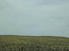 DSCN0442