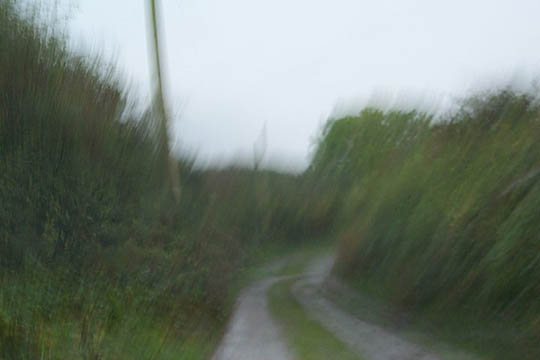 P0005302