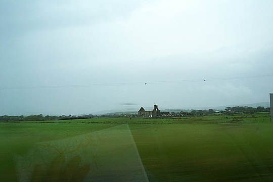 P0005309
