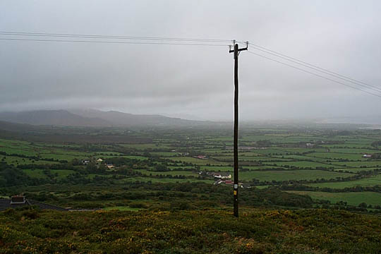 P0005319