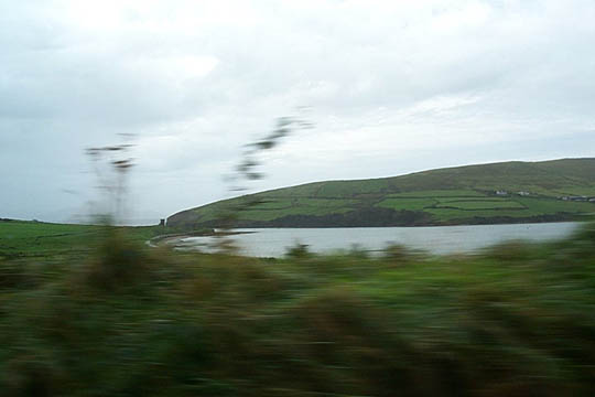 P0005328