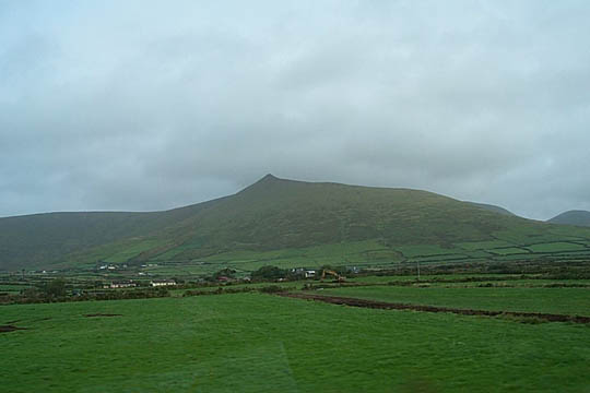 P0005355