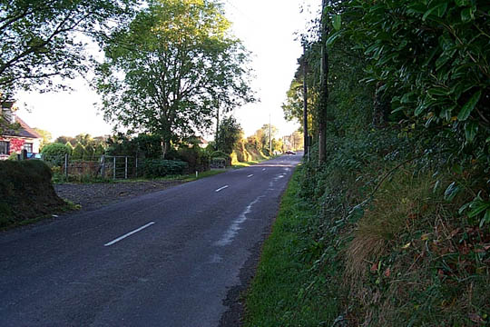 P0005377