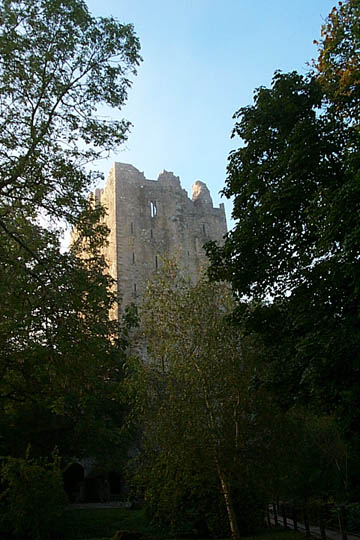 P0005383
