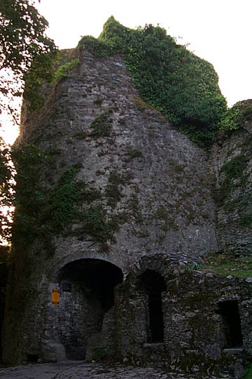 P0005385