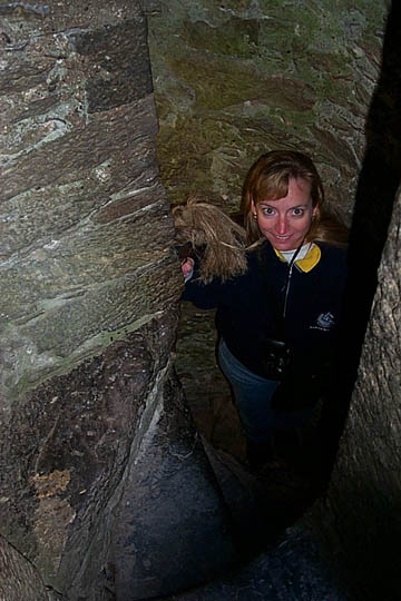 P0005398