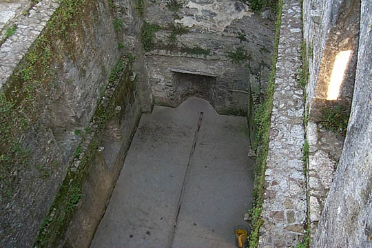 P0005406