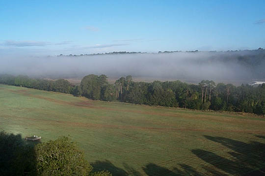 P0005410