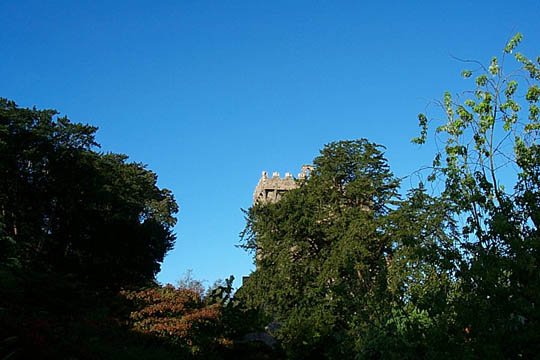 P0005413