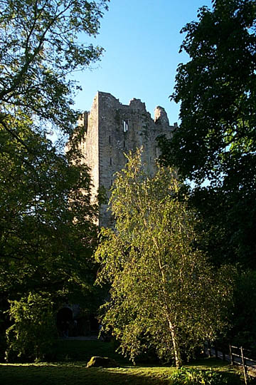 P0005417