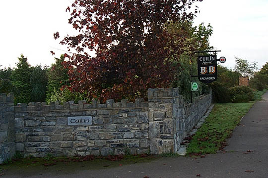 P0005502
