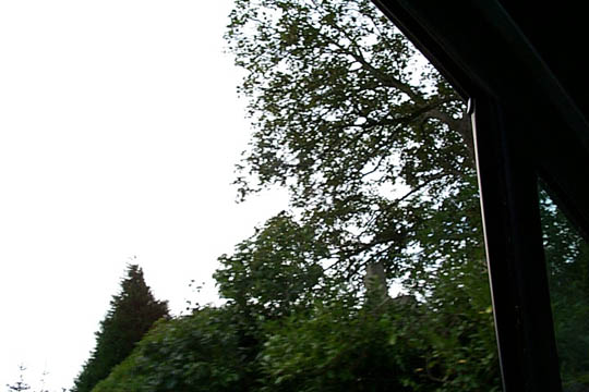 P0005629
