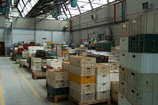 P0005655