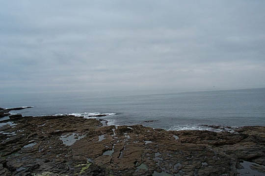 P0005690