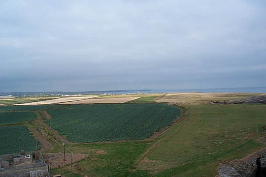 P000569407