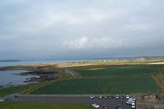 P000569408