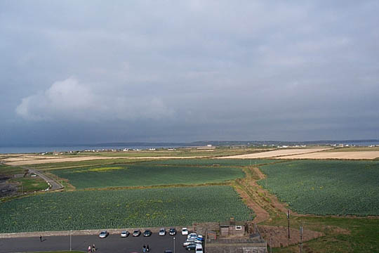 P000569413