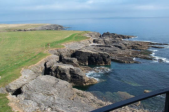 P0005695