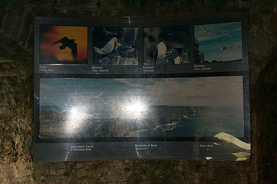 P0005732