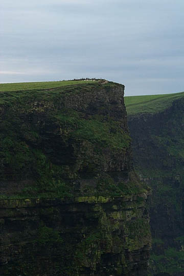 P0005739