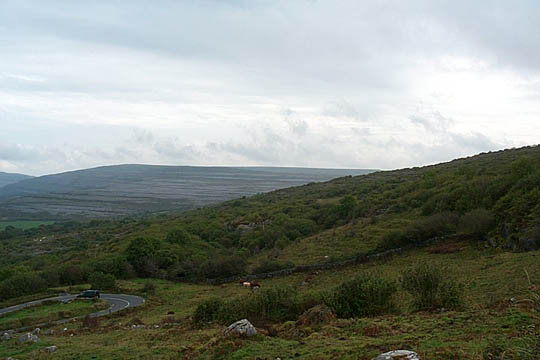 P0005746