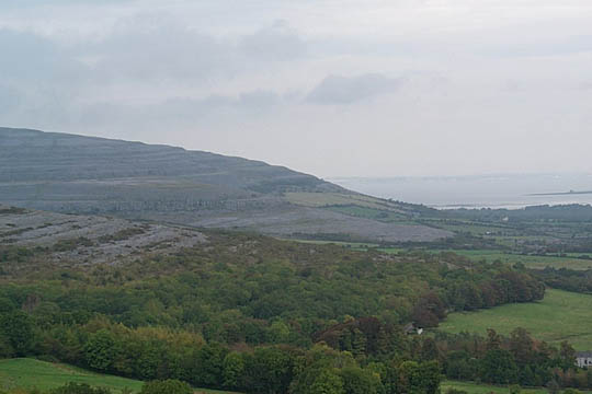 P0005751