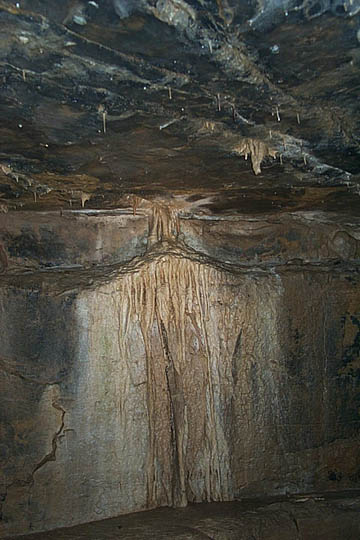 P0005755