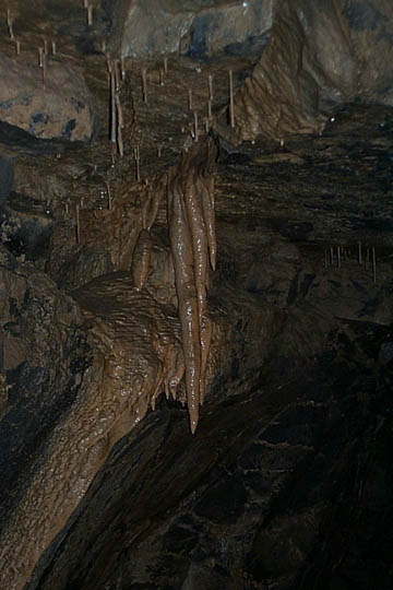 P0005759