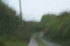P0005302
