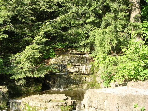 DSCN0768