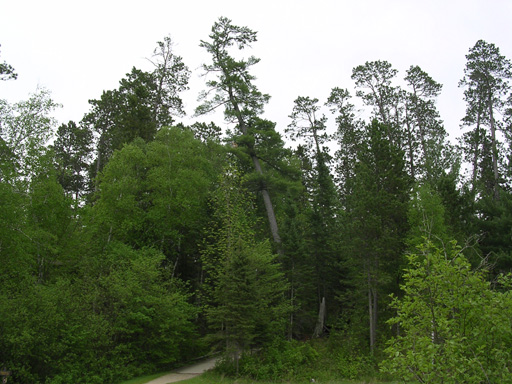 DSCN0839