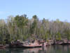 DSCN0524