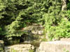 DSCN0768