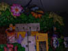DSCN0148