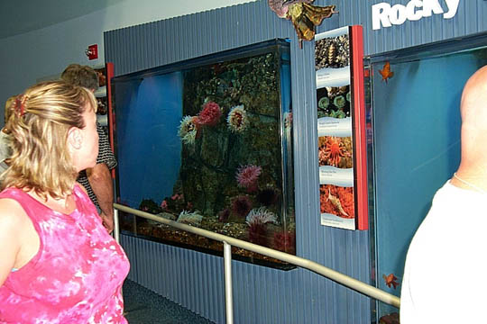 P0000364